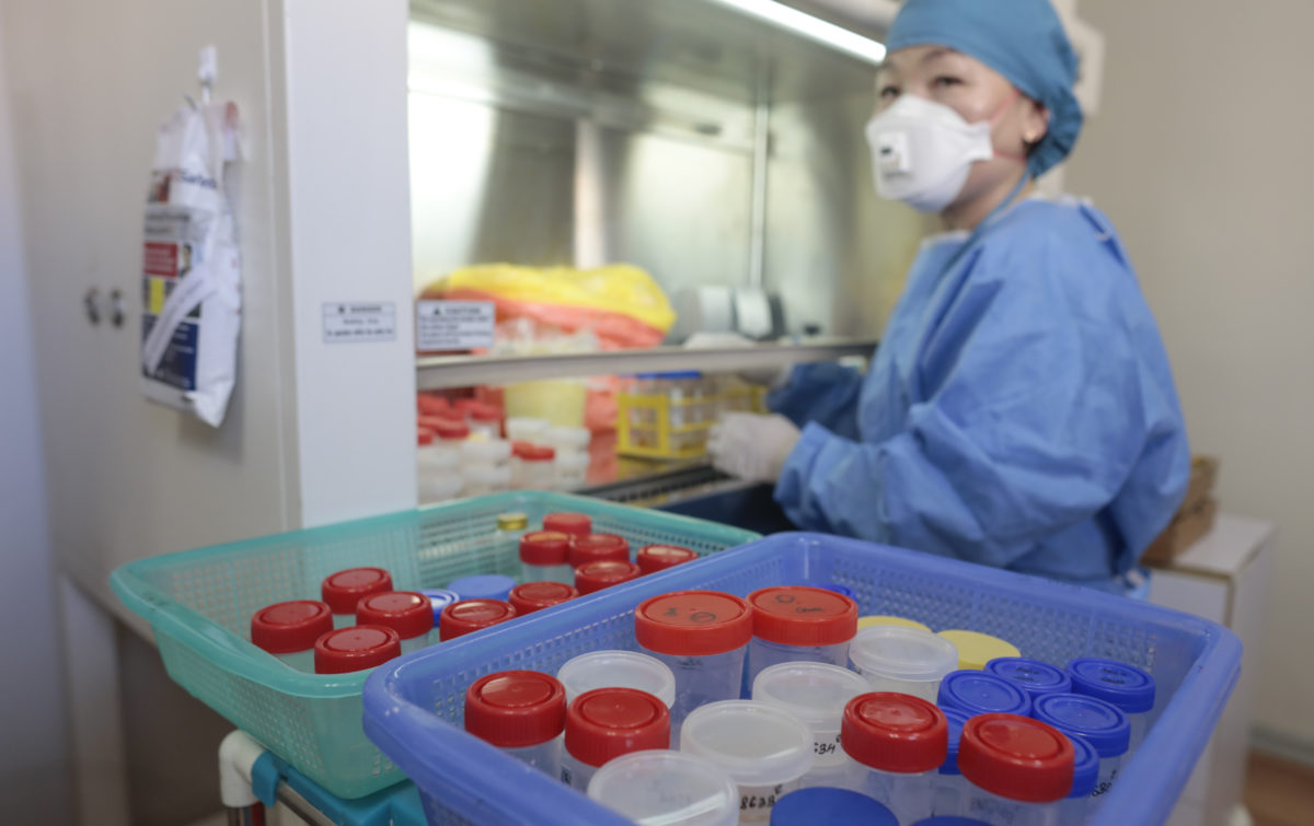 STREAM Lab Tech KHALTARKHUU works in Liquid Culture lab at the National Centre of Infectious Diseases in Alaabaatar, Mongolia, July 2017 .(Photo/Javier Galeano, Vital Strategies)